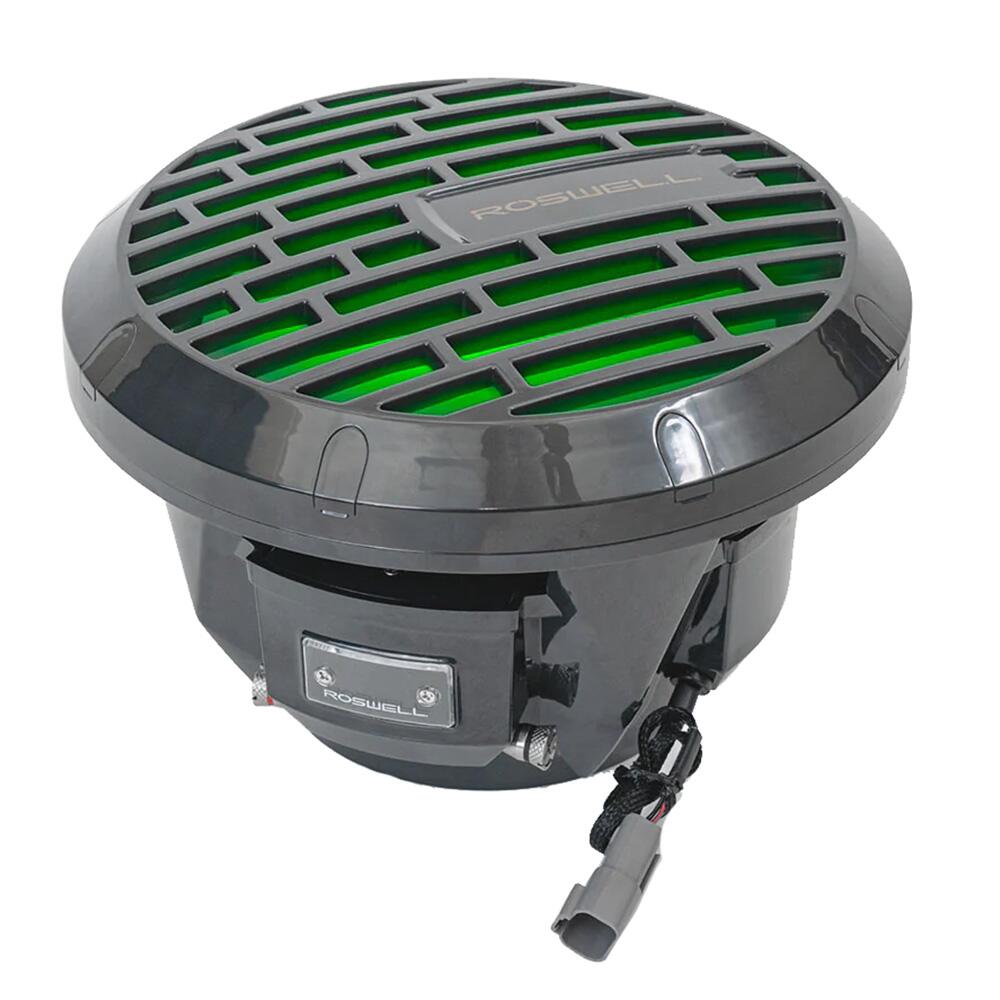 Image 1: Roswell R1 10" Subwoofer - Anthracite - 250W RMS & 500W Peak Power
