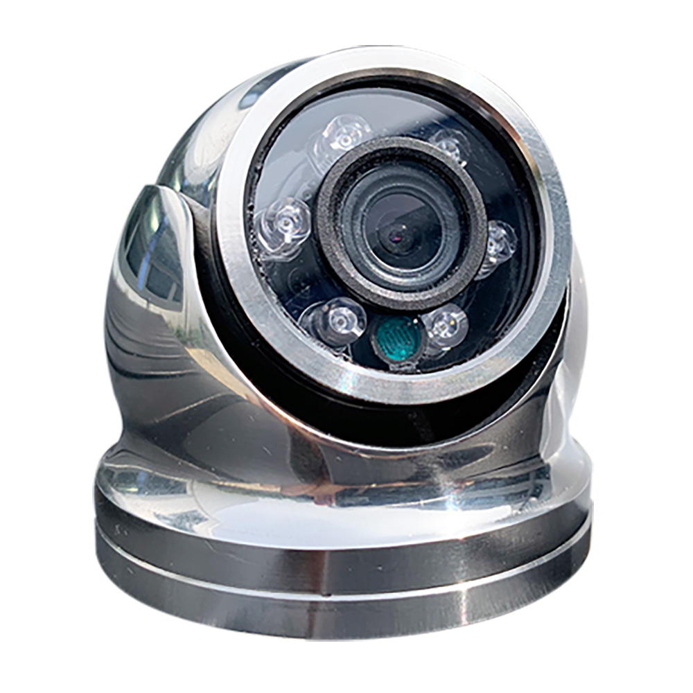 Image 1: Iris Hi-Resolution Analog Mini Dome Camera - 316 Stainless Steel - CVBS - TVI