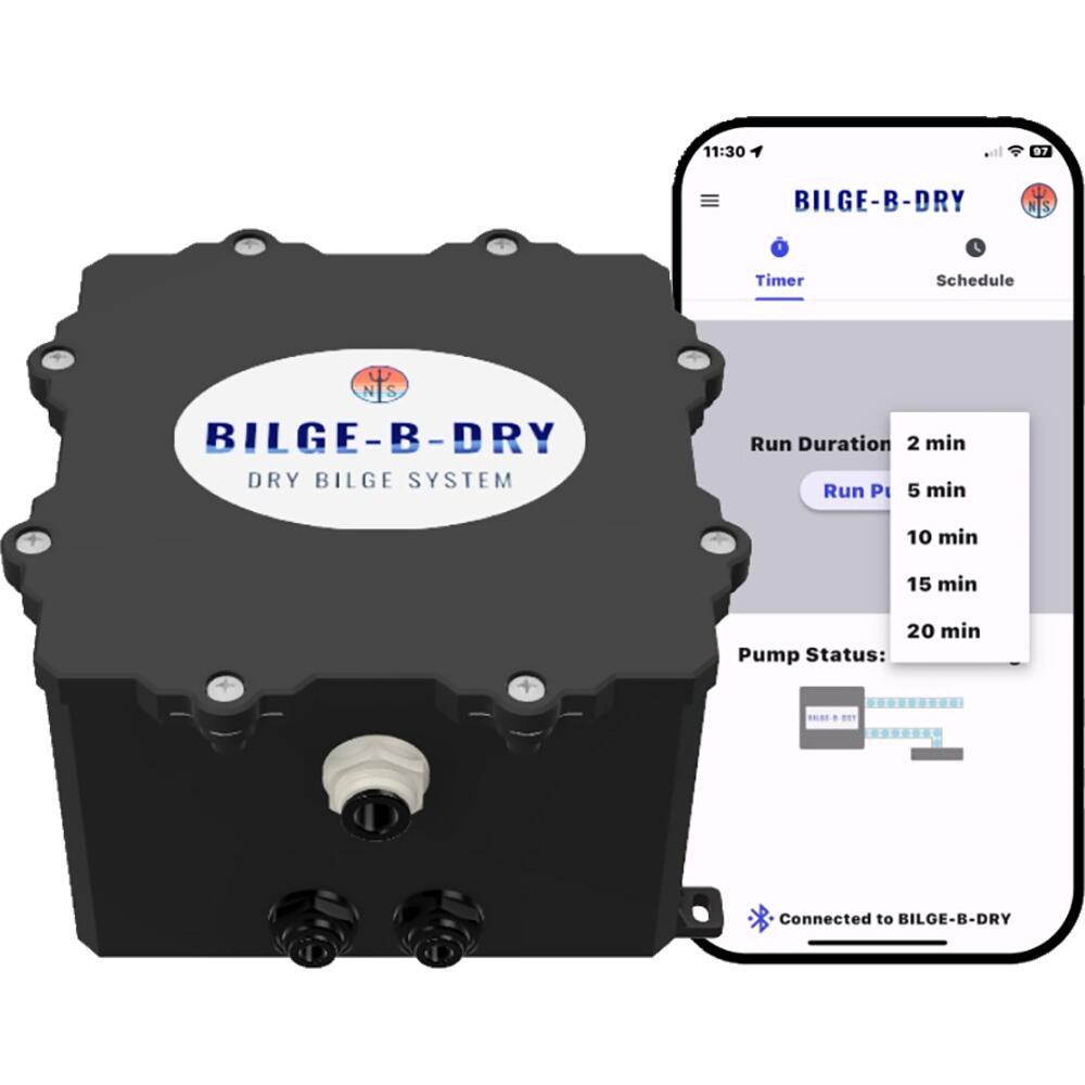 Image 1: BILGE-B-DRY Dual Pump - 24VDC