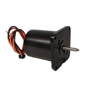 Image 1: Raritan Sea Era Discharge Motor - 12V
