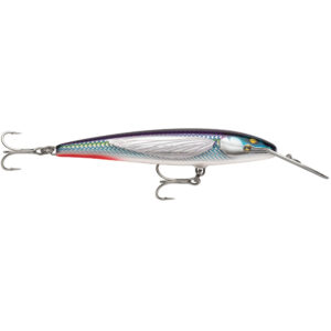 Image 1: Rapala CountDown® Magnum® Elite 185 - 7" - Armored Flying Fish UV