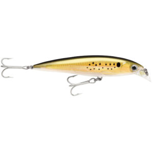 Image 1: Rapala X-Rap® Saltwater 4" - Bunker