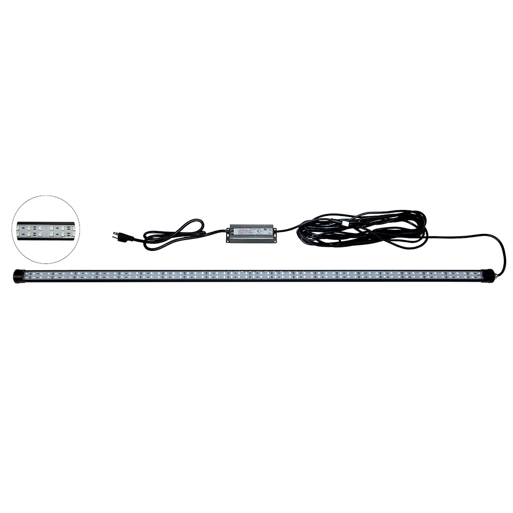 Image 1: Hydro Glow 4' LED DockMaster 2000K Amber LED 120V
