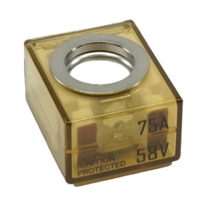 Image 1: Egis MRBF Terminal Fuse - 75A