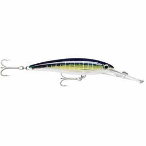 Image 1: Rapala X-Rap® Magnum® 15 Sailfish UV