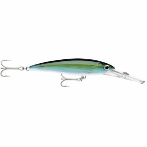 Image 1: Rapala X-Rap® Magnum® 20 Yellowfin Tuna