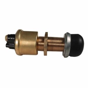 Image 1: Raritan Heavy-Duty Push Button Switch - Brass