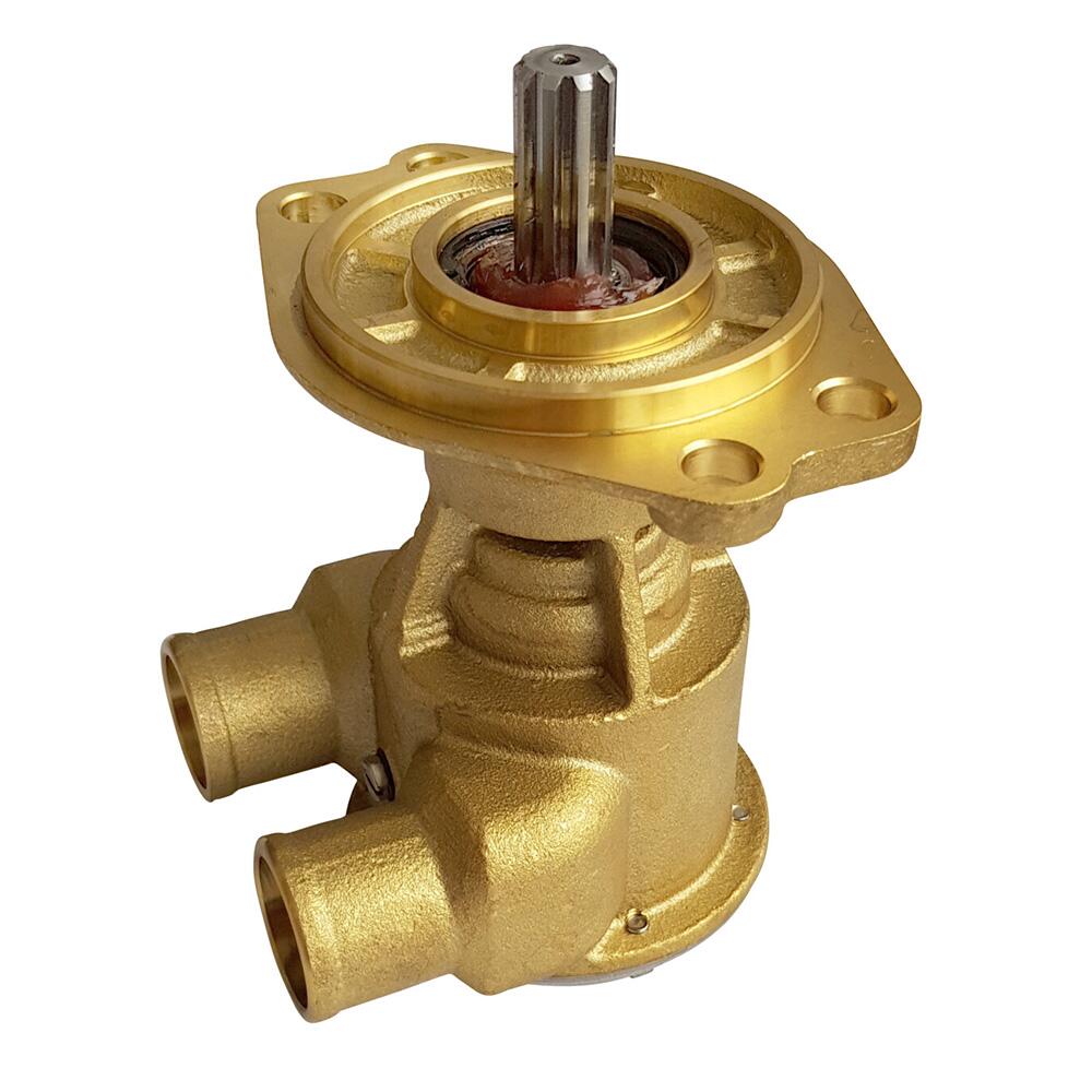 Image 1: Johnson Pump F7B-9 Impeller Pump OEM - Flange Style Mount