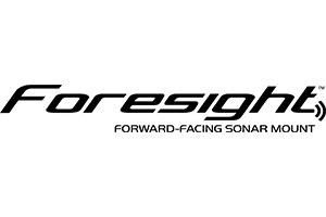 FORESIGHT Brand Image