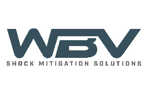 SHOCK-WBV Brand Image